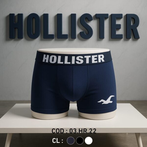 Hollister Original Boxers